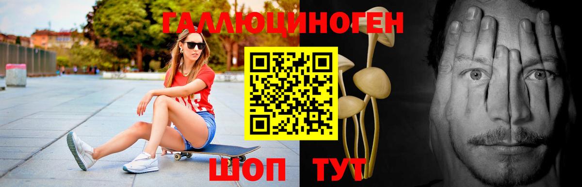 Галлюциногенные грибы Cubensis  Вход с VPN  Кумертау 